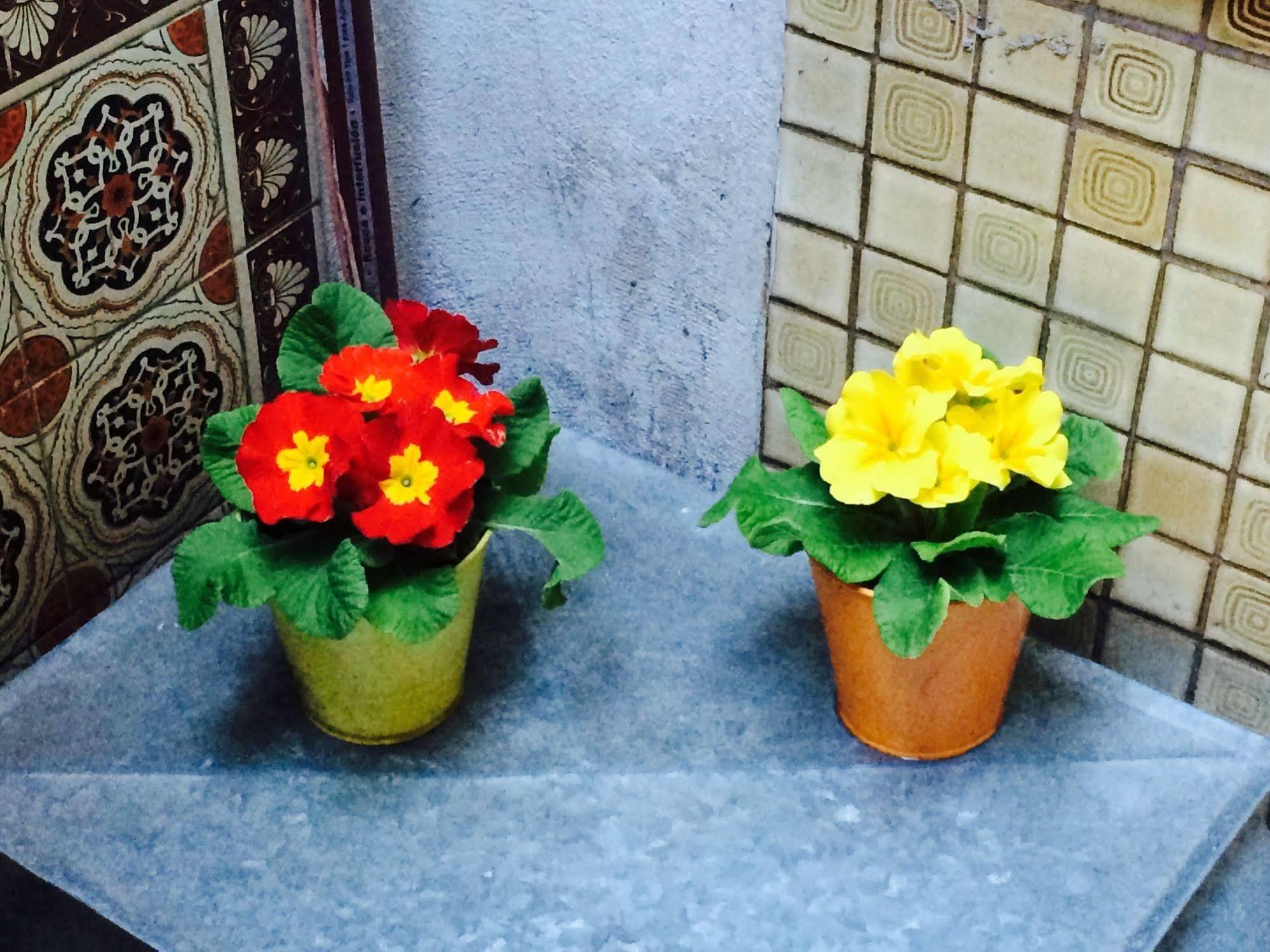 Petit Recoleta Hostel Buenos Aires Zewnętrze zdjęcie